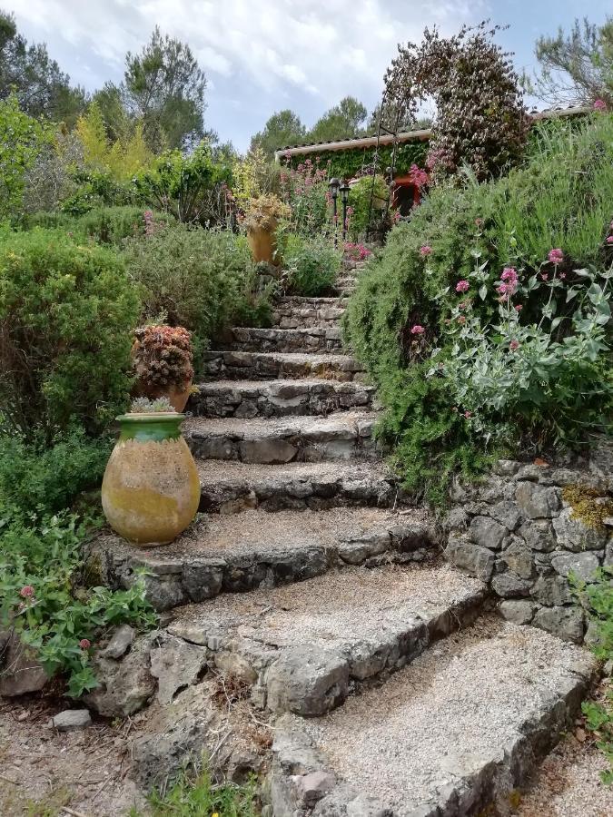 Chambre D'Hote Le Mas Des Romarins Les Arcs-sur-Argens Exterior photo